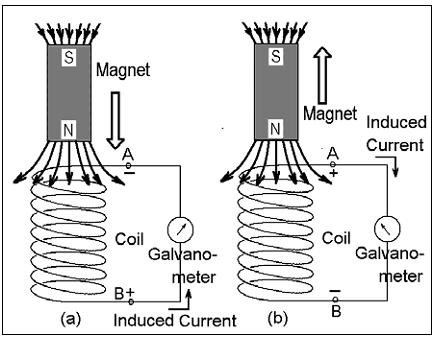 generator projects science magnets electricity electric simple fair experiments homemade magnet wire working